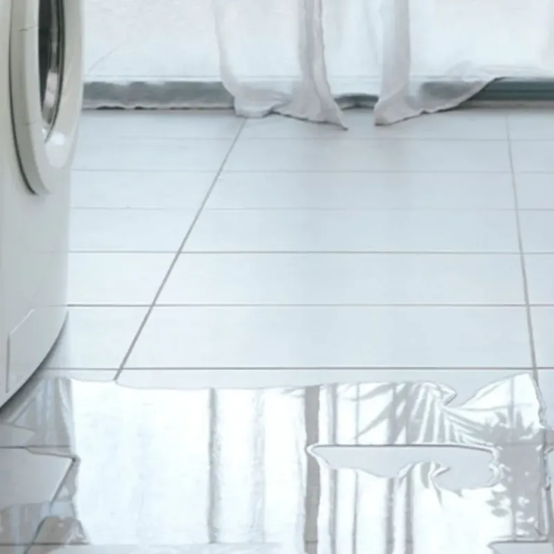 Appliance Leak Cleanup in Burien, WA