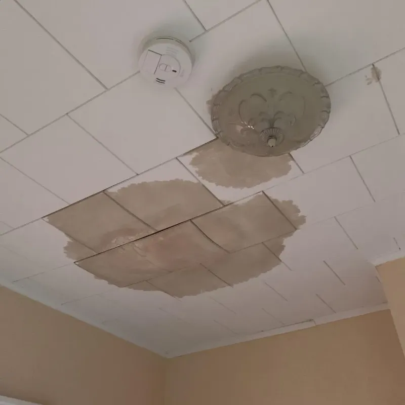 Ceiling Water Damage Repair in Burien, WA