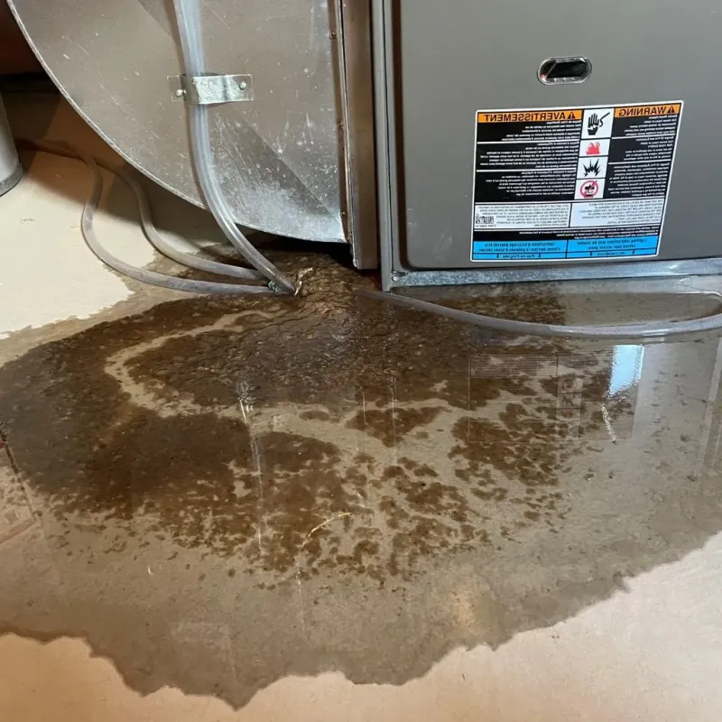 Pipe Burst and Leak Restoration in Burien, WA